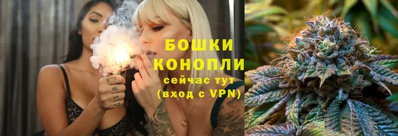 Бошки марихуана THC 21%  где купить наркоту  Йошкар-Ола 